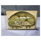1908 Florida Alligator Border Postcard "Greetings