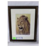 Andrew Bone artist signed print of lion 14" x 18"