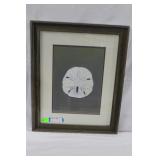 Misao Adachi sand dollar framed litho 19" x 24"
