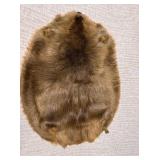 Beaver pelt