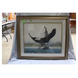 Eagle in Flight print 31" x 36"