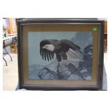 Framed print of Eagle on rock 35" x 42"