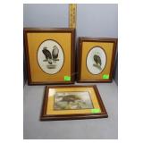 Three Complementary Framed Eagle still lifes