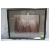 Artist signed photo of Eagle in flight