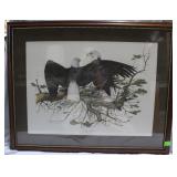 Eagle framed print 29" x 37"