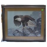 Framed print of Eagle on rock 35" x 42"