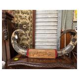 Philippines carved ox horns 34" W