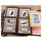 Five American Eagle framed prints