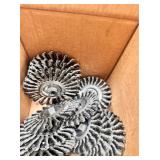 12x$ - Mixed grouping of wire wheels