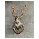 Carl Turner Unorthodox Taxidermy resin wall art in