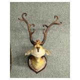 Carl Turner Unorthodox Taxidermy resin wall art in