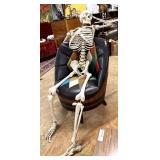 Realistic resin skeleton 6