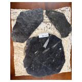 Three fossil - anthracite coal fossils, ferns, Ort