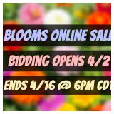 BLOOMS SALE NEWLY LISTED LOTS - HAPPY BIDDING