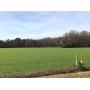 Two Gorgeous Farms in Cumberland County With 193.27 Acres!