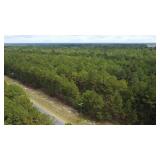 17.32 Acres Sanderfer Rd
