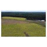 210 ac. with lots of frontage on McNeill Hobbs Rd