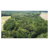 71.21 ac. with frontage on both McNeill Hobb&Sand