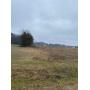 Beautiful 10 Acre Tract in Dunn