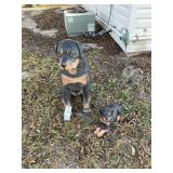 PAIR OF ROTTWEILER STATUES, LARGE ONE APPROX 27 IN