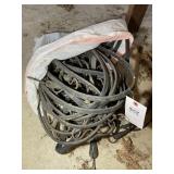 GROUP OF BUNGEE CORDS