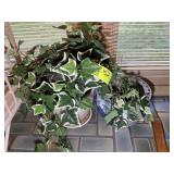 GROUP OF CERAMIC FLOWER POTS AND ARTIFICIAL FLOWER