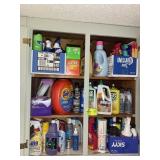 CONTENTS OF CABINET, CLEANING SUPPLIES
