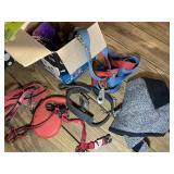 BOX OF MISC DOG LEASHES AND COLLARS
