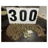 Landhonor Unused 5/16in x 20ft 670 Double Hook Cha