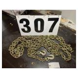 Landhonor Unused 3/8in x 20ft 670 Double Hook Chai