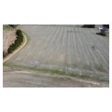 11.82 Acres Clayhole Rd