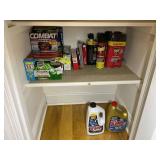 BOTTOM SHELF IN PANTRY INCLUDING INSECTICIDES DRAI