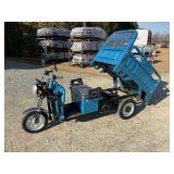 New 2026 SDL 3 wheel electric cart