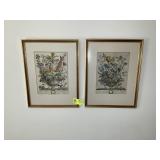 PAIR OF BIRTH MONTH PRINTS, DECEMBER AND FEBRUARY