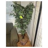ARTIFICIAL FICUS TREE, APPROX 67 IN TALL