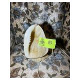 CONCH SHELL LAMP