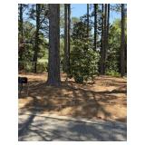 0.42 Acre Lot in Lansdowne Neighborhood Dunn