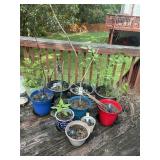 LARGE GROUP OF MISC FLOWER POTS/PLANTERS