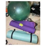 GROUP OF WORK OUT EQUIPMENT, WORK OUT MATS, DUMBBE