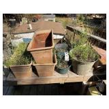 GROUP OF PLASTIC PLANTERS