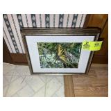 GROUP OF 3 FRAMED AND MATTED BUTTERFLY PICTURES, 1