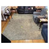 LARGE AREA RUG TAN 118 IN X 168 IN