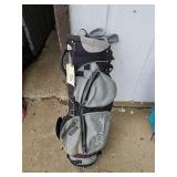 Titleist golf bag and four Delta clubs