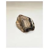 PETRIFIED WOOD ROCK