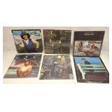 VINTAGE VINYL RECORD LOT