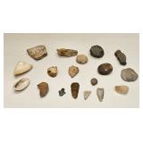 LOT OF ARTIFACTS STONE SHELL ROCKS ARROW HEADS
