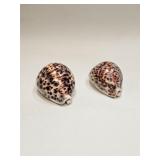 TWO LEOPARD COWRIE SHELLS