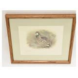 VINTAGE BIRD PRINT