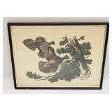 VINTAGE BIRD PRINT