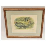 VINTAGE BIRD PRINT